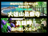神秘的な海と山を味う旅 1万株のあじさい 真鶴岬、海鮮、大雄山最乗寺、森の癒しスポットへ　3企画分の価値！？