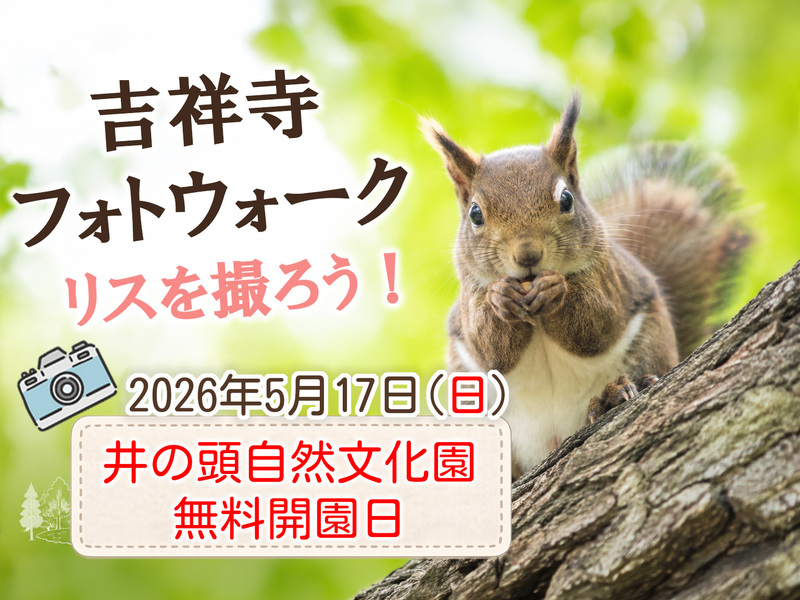 【東京フォトウォーク】吉祥寺～井の頭公園を歩いて写真を撮ろう(初心者・スマホ歓迎!)