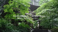 【南足柄】あじさいの参道を歩いて、森の温泉で整える。梅雨の、ゆっくりした1日へ 🌱