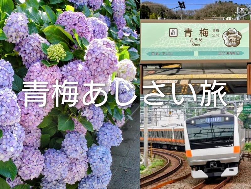 【20代主催】ホリデー快速🚃でおでかけ🎵酒蔵も見学🍶青梅あじさい旅