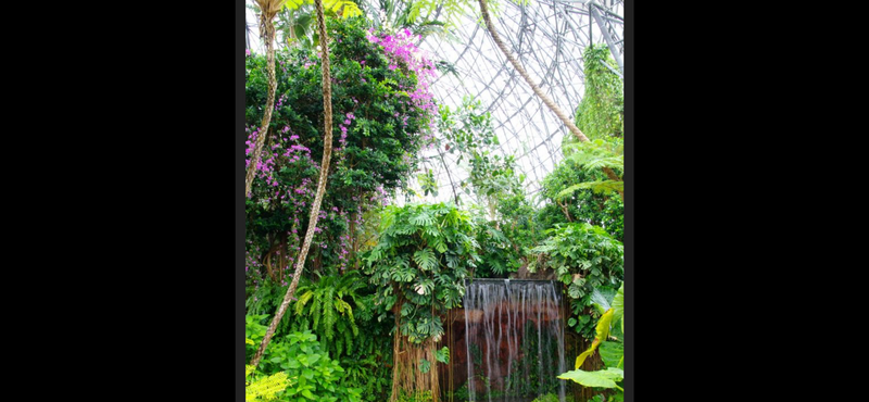 【東京で南国気分夢の島植物園】自然と癒しの楽園で心をリフレッシュ🌿✨