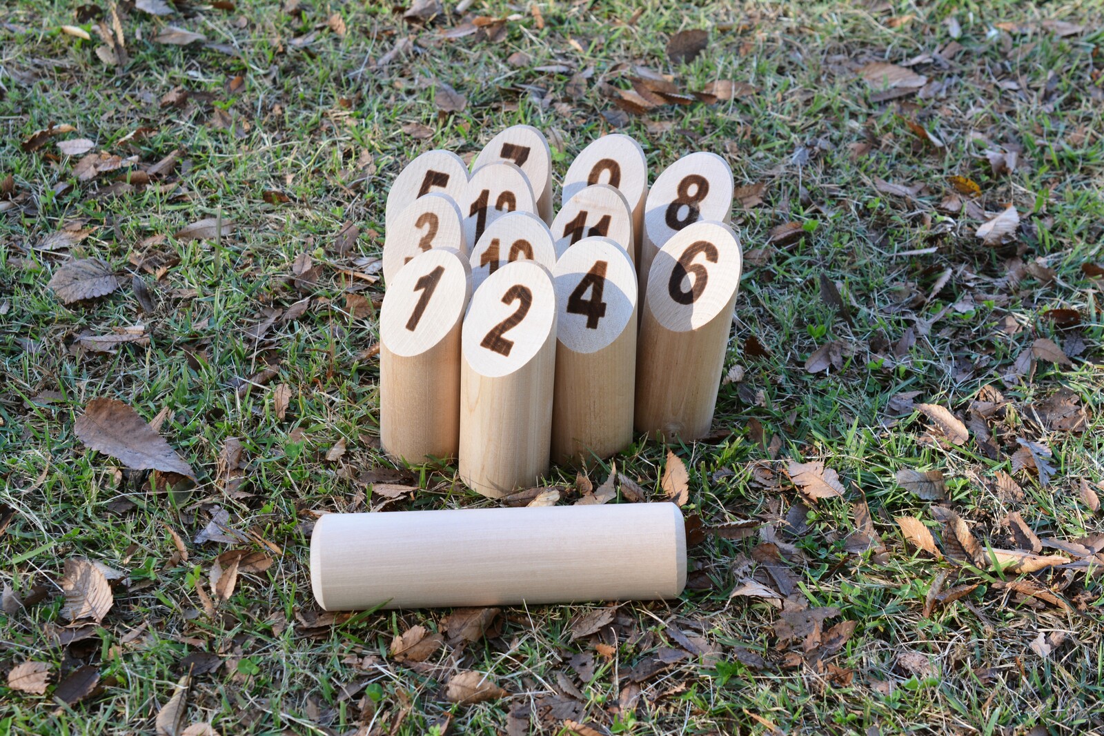 【代々木公園】ゆるモルック体験会🌳初心者・おひとり参加大歓迎！