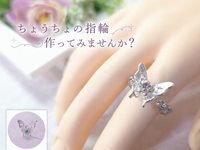 5月30日(土) 初心者🔰でも大丈夫😸 ちょうちょの指輪作り💍