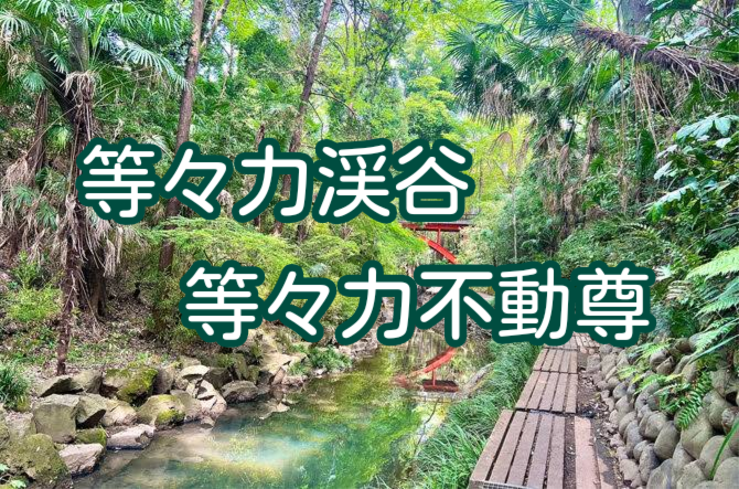 等々力渓谷🍃ゆるっと自然交流ウォーク — 初参加歓迎のゆるコミュニティ散歩🔅