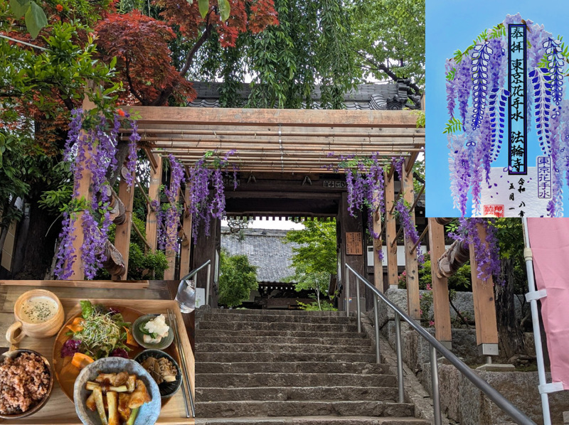 【藤の花切り絵御朱印とオーガニックカフェ！】5/24 14時　早稲田　法輪寺【参加費還元！】