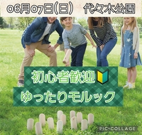 【代々木公園】🔰初心者わいわいモルック🔰【交流メイン】
※主催者も完全初心者です。
