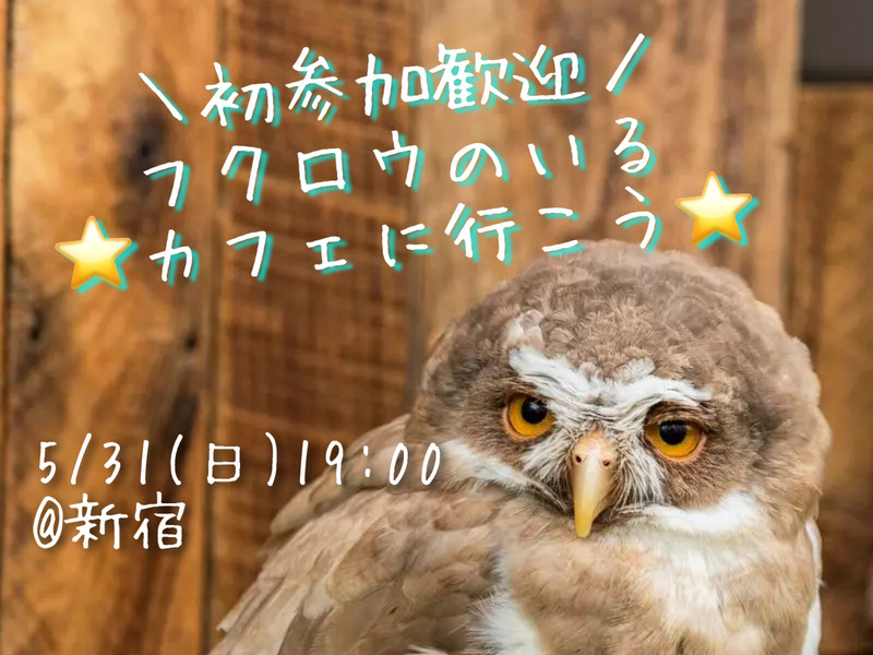 【20代女子限定夜カフェ会🌉in 新宿】都会の森みたいな隠れ家カフェでゆるっと交流しませんか？🌿💛