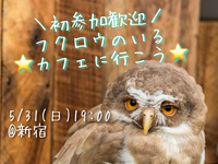 【20代女子限定夜カフェ会🌉in 新宿】都会の森みたいな隠れ家カフェでゆるっと交流しませんか？🌿💛