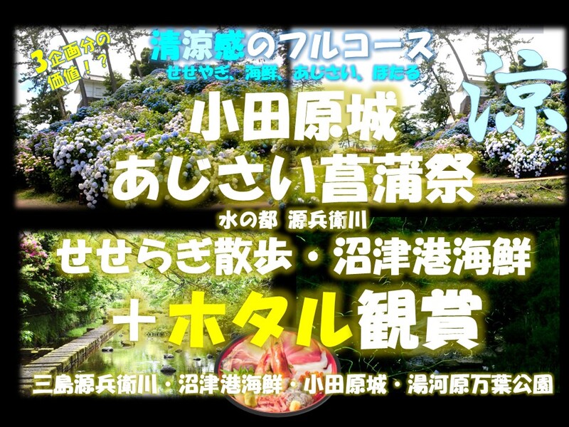 清涼感のフルコース！小田原城あじさい花菖蒲祭×水の都 せせらぎ散歩 源兵衛川×ホタル観賞　三島・小田原・湯河原