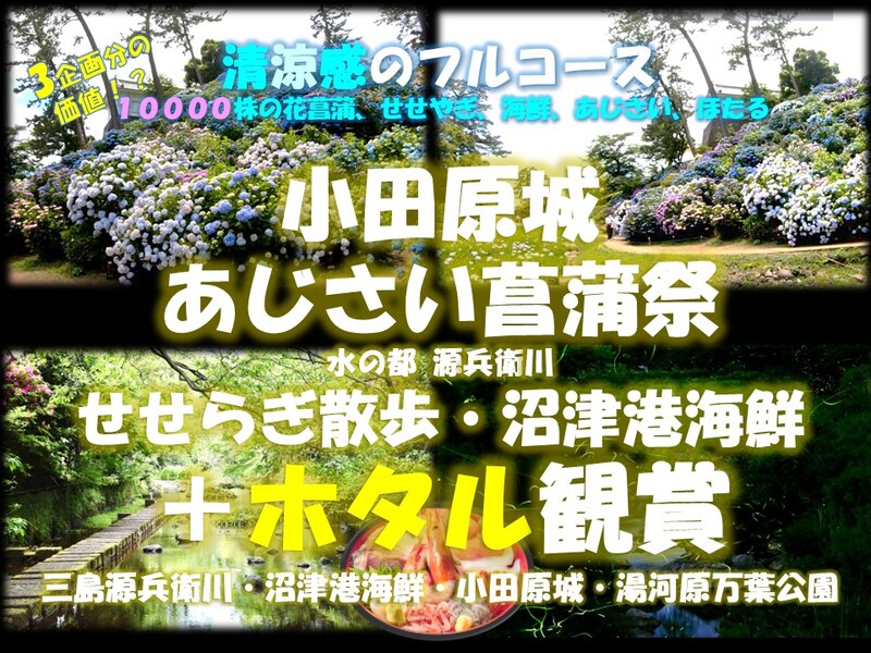 清涼感のフルコース！小田原城あじさい花菖蒲祭×水の都 せせらぎ散歩 源兵衛川×ホタル観賞　三島・小田原・湯河原