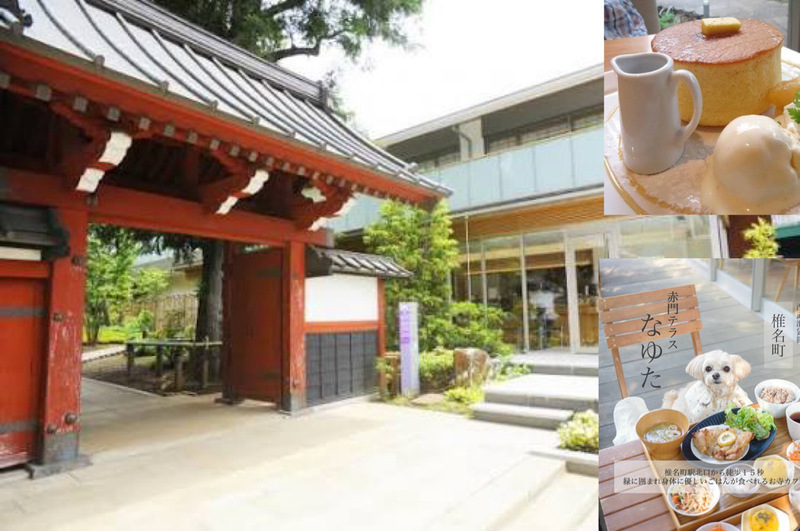 【寺カフェで朝活！】5/23 10時半 椎名町 赤門テラス なゆた【カフェ後にお寺を参拝！】