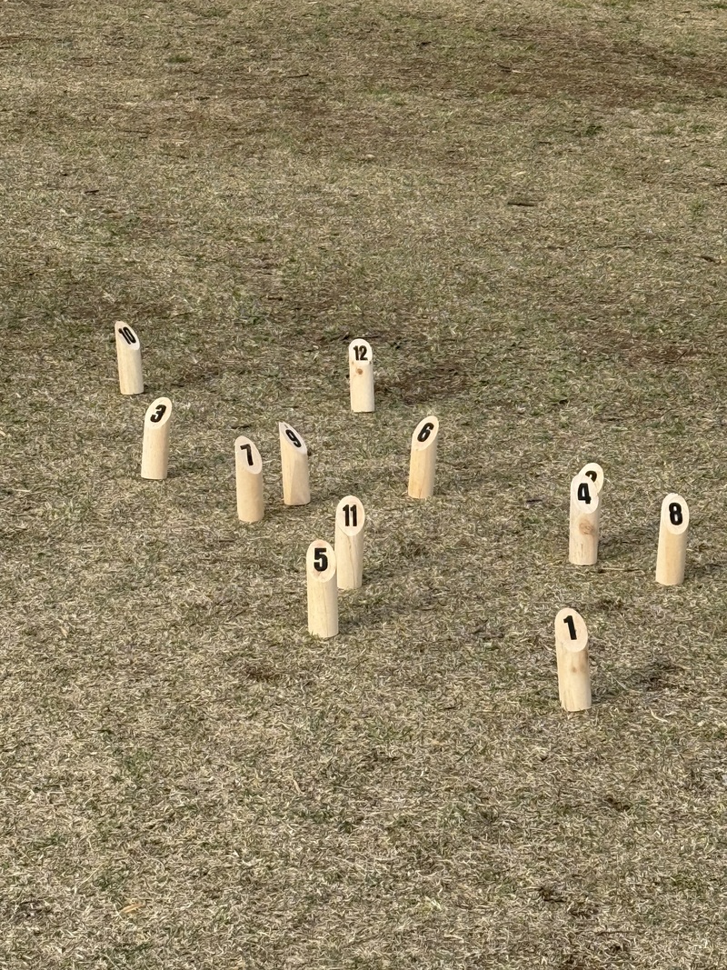 【現在6名 残2名】池袋でモルック🎳