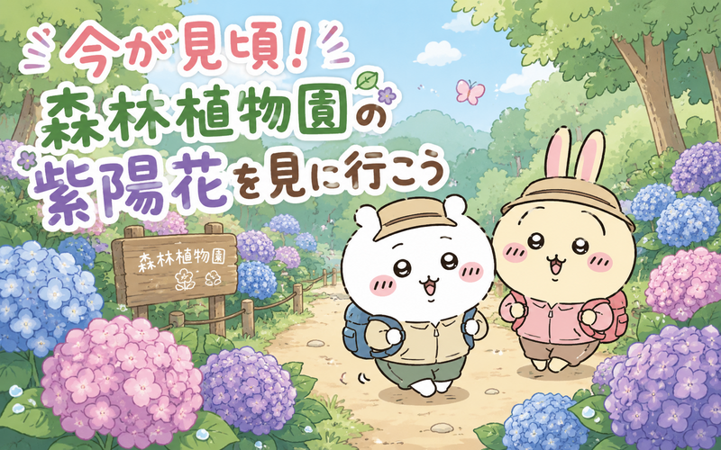 今が見頃！森林植物園の紫陽花を見に行こう
＜ハイキング約13ｋｍ中級向き（健脚）雨天中止＞