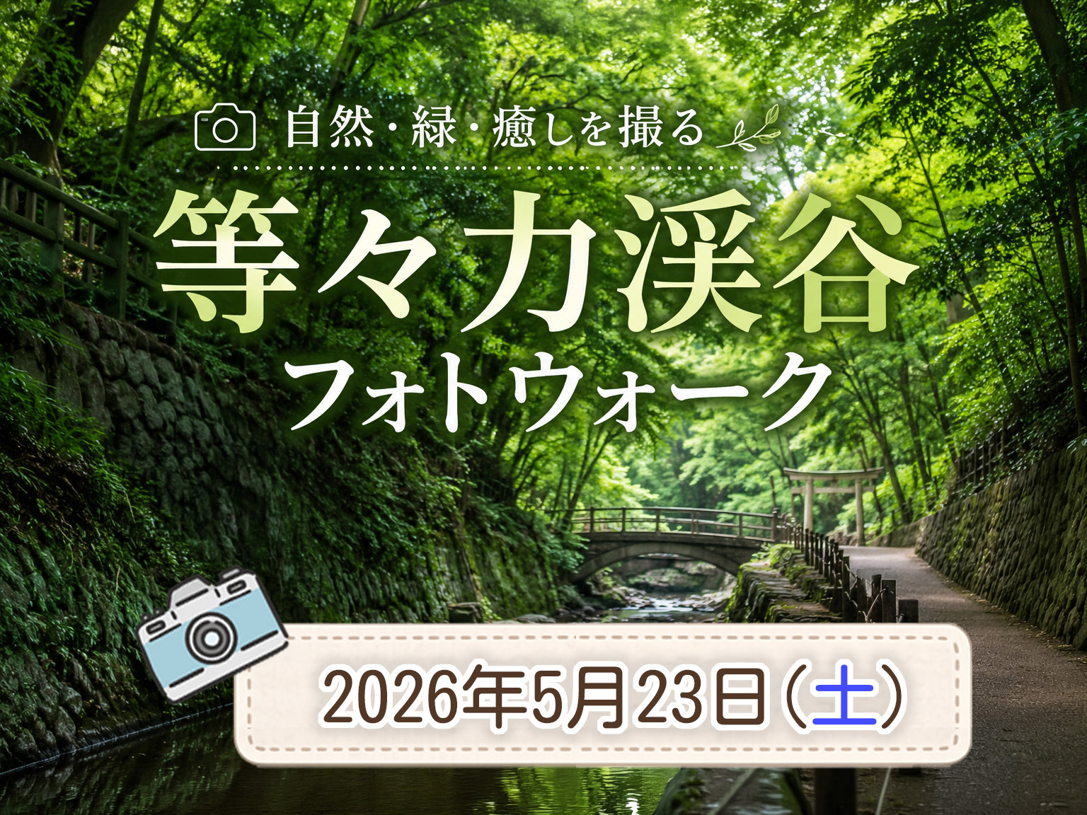 【東京フォトウォーク】再開記念！等々力渓谷を歩いて写真を撮ろう(初心者・スマホ歓迎!)