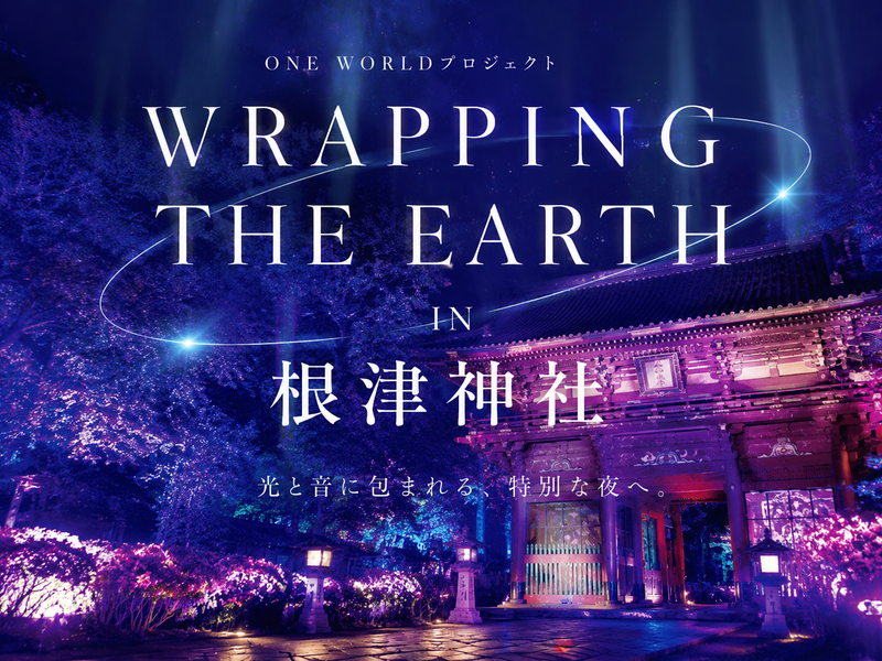 光と音に包まれる✨ 根津神社の体験型デジタルアートフェスにいこう！