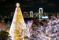 【早割中】今日だけのスペシャル花火あり🎆お台場の花火とイルミネーションを見よ✨✨