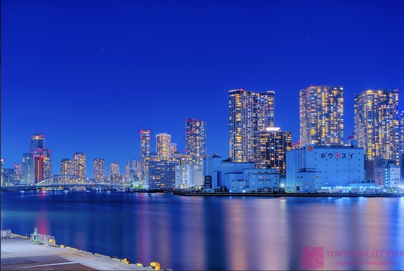 【20代30代限定】夜景と海風を楽しむ🌃田町〜竹芝〜浜松町夜散歩交流会🚶‍♂️✨