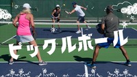 【30〜50代】CUBE球技部ピックルボール初心者歓迎～コーチいますよ～