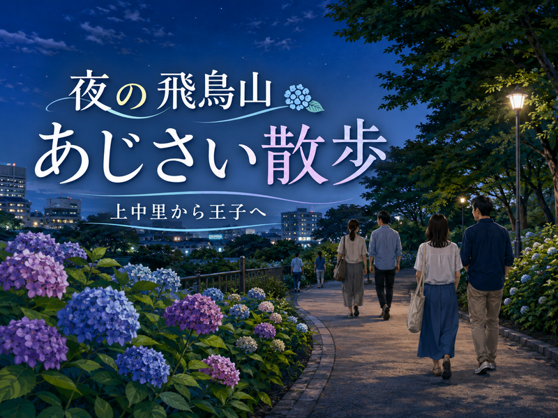 上中里から王子の夜散歩｜飛鳥の小径（あじさいの小径）も歩きます♪