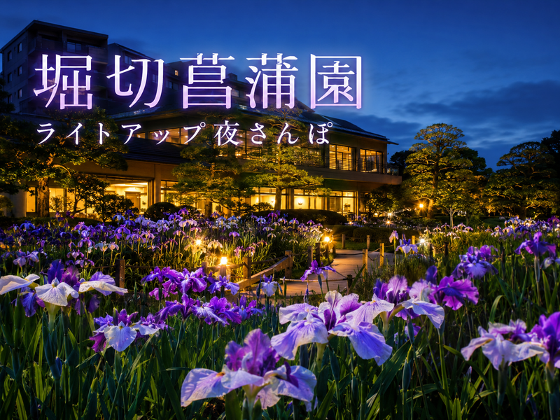 【2日間限定・入場無料】堀切菖蒲園ライトアップを楽しむ夜さんぽ