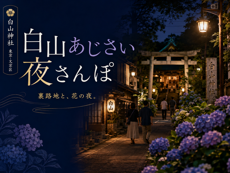白山三業地跡の裏路地散歩と白山神社のあじさいを楽しもう