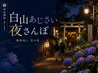 【早割無料】白山三業地跡の裏路地散歩と白山神社のあじさいを楽しもう