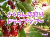 初夏の恵みを味わう★さくらんぼ狩りドライブツアー】