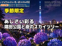 🌂梅雨限定の風景🌂あじさい彩る隅田公園とスカイツリーを歩こう