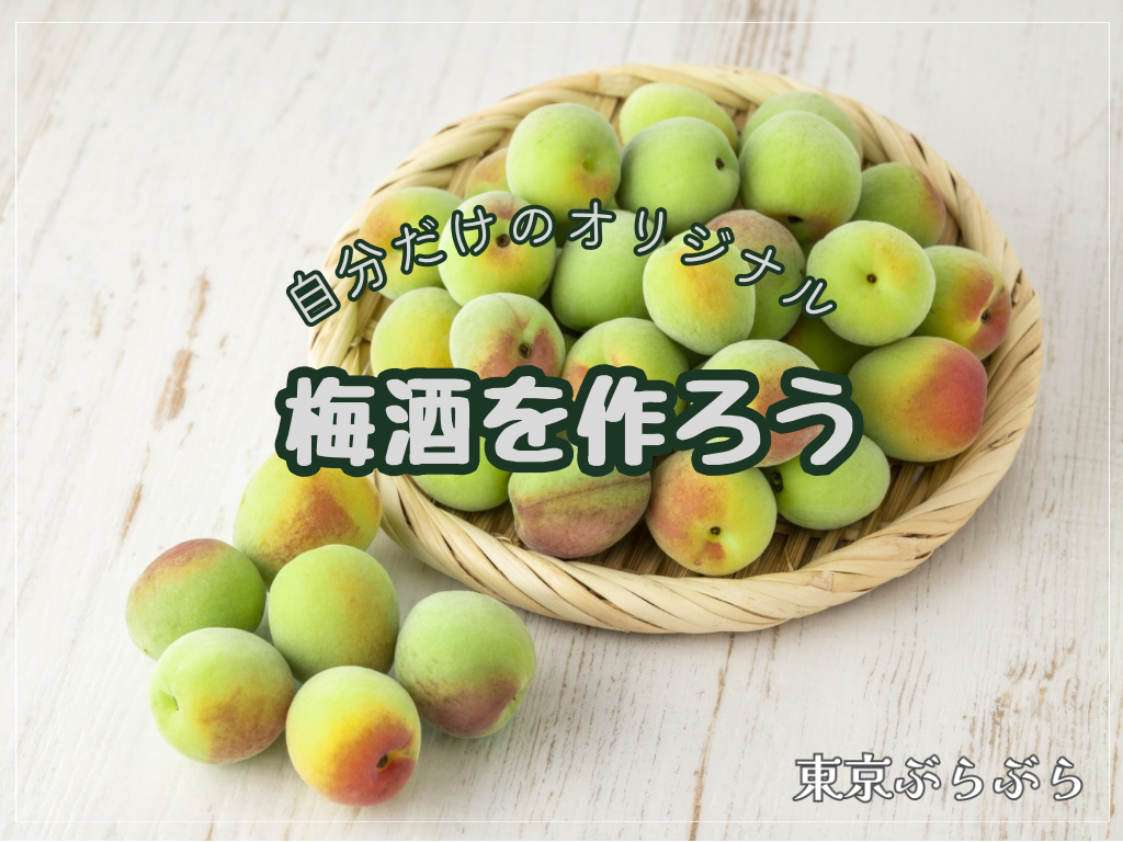 自分だけのオリジナルの梅酒を作ろう