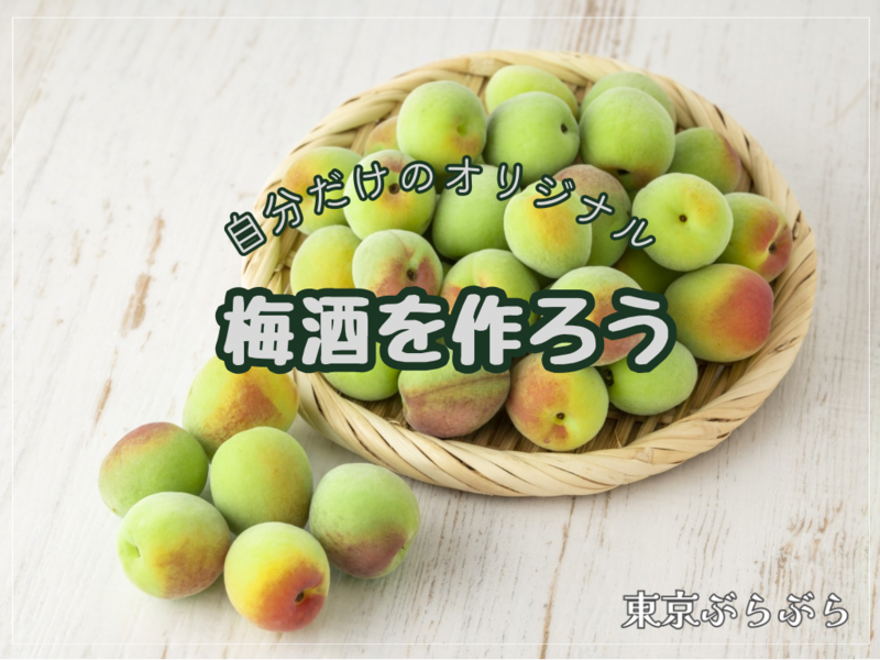 自分だけのオリジナルの梅酒を作ろう