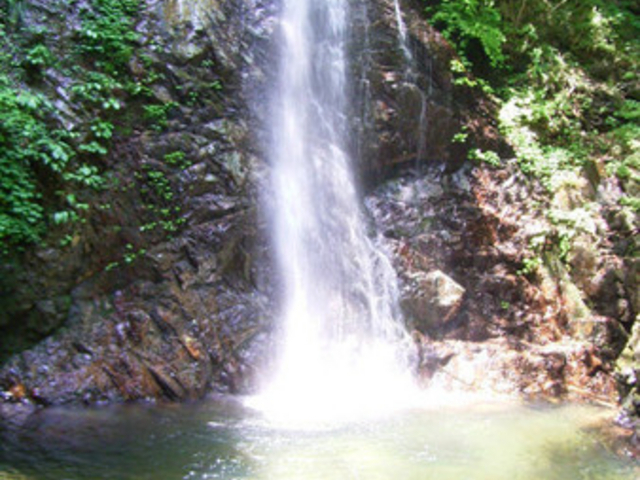 🌳初級者step up登山②🍃清涼企画！【7/5日曜】払沢の滝、秋川渓谷散策、瀬音の湯♨️🌲