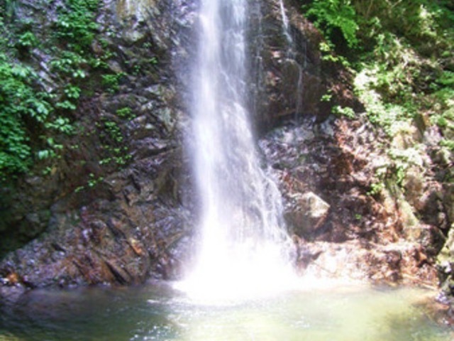 初級者step up登山②🍃清涼企画！【7/5日曜】払沢の滝、秋川渓谷散策、瀬音の湯♨️☘️