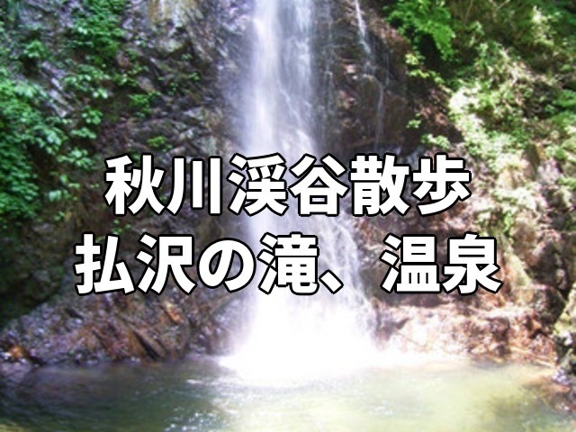 初級者step up登山②🍃清涼企画！【7月5日日曜】お散歩、払沢の滝、瀬音の湯♨️🌳