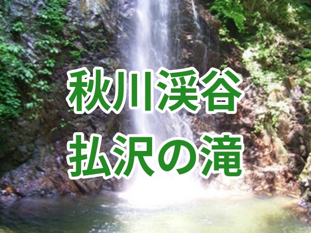 【7月5日日曜】近場で！初夏の涼しさ☘️払沢の滝・秋川渓谷、散歩＋温泉♨️ 初心者歓迎🌿