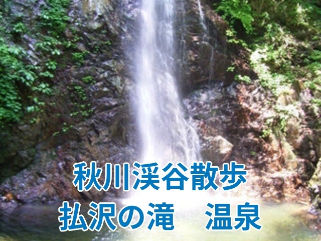 初心者歓迎！【7月5日日曜】近場で！初夏の涼しさ☘️払沢の滝・秋川渓谷、散歩＋温泉♨️