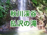 【7月5日日曜】近場で！初夏の涼しさ☘️払沢の滝・秋川渓谷、散歩＋温泉♨️ 初心者歓迎🌿