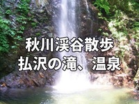 初級者step up登山②🍃清涼企画！【7月5日日曜】お散歩、払沢の滝、瀬音の湯♨️🌳
