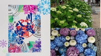 【女性主催】川越で紫陽花見ながら食べ歩き&神社仏閣巡りしよう！