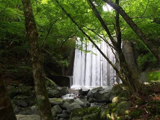 【中級向け】西丹沢 畦ヶ丸⭐️丹沢の秘境でマイナスイオンたっぷりの清涼登山⛰️