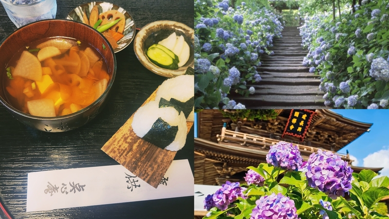 【女性主催】けんちん汁発祥!北鎌倉でけんちん汁食べて紫陽花&仏閣巡りしよう！