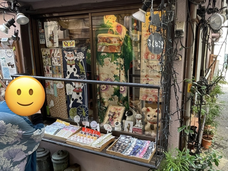 【神楽坂〜新宿御苑】散策＆カフェ✨ レトロ柄浴衣探し👘＆旬の薔薇を鑑賞しよう！