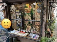 【神楽坂〜新宿御苑】散策＆カフェ✨ レトロ柄浴衣探し👘＆旬の薔薇を鑑賞しよう！