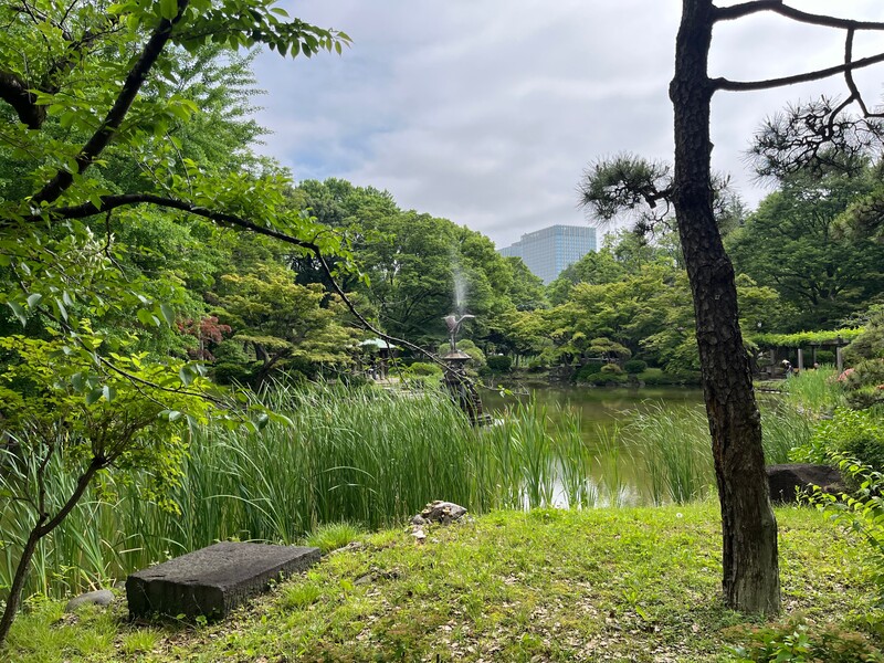 🚶🏻【日比谷公園】朝さんぽ と カフェトーク