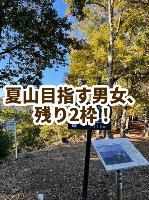 気持ち良いアップ、ダウン、川沿い、倉岳山〜高畑山トレッキング♪夏山の体力作りに！⛰️
