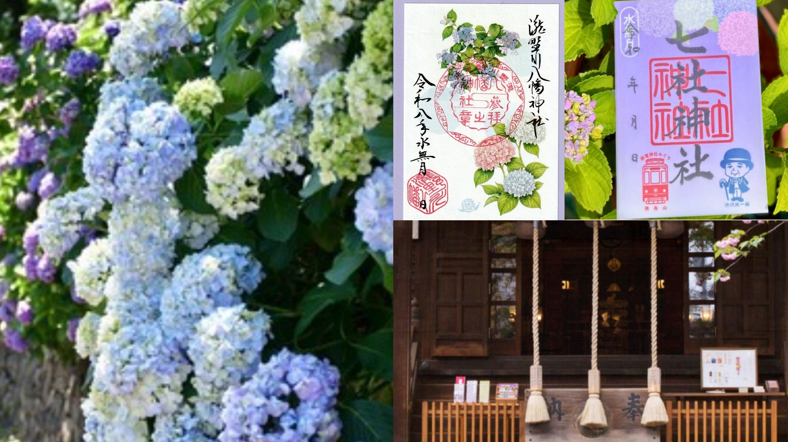 【女性主催】王子駅の紫陽花と神社巡りをしよう！