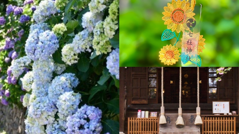 【女性主催】王子駅の紫陽花と神社巡りをしよう！