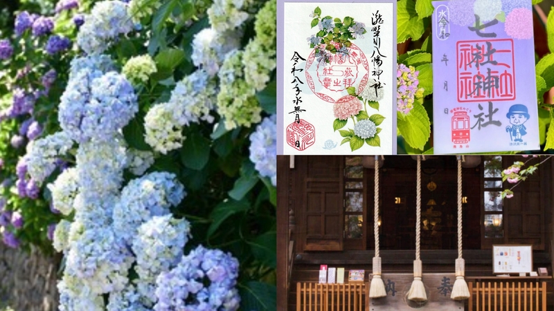【女性主催】王子駅の紫陽花と神社巡りをしよう！