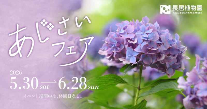 6/13(土) 🌿‬長居植物園〜あじさいフェア〜💠