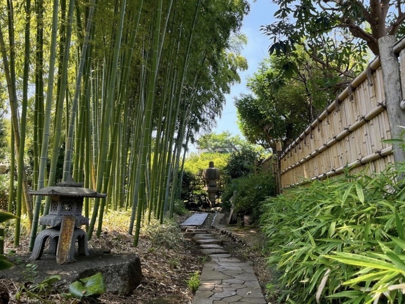 【20代・30代限定】竹林と緑に癒される🌿"下赤塚駅〜赤塚植物園〜東京大仏"ゆるっとお散歩交流会🎋