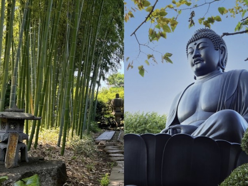 【20代・30代限定】竹林と緑に癒される🌿"下赤塚駅〜赤塚植物園〜東京大仏"ゆるっとお散歩交流会🎋